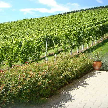 Ferienhaus Weingut Bauer Gamlitz Exterior photo