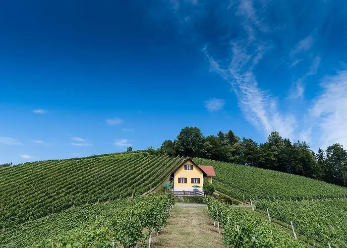 Ferienhaus Weingut Bauer
