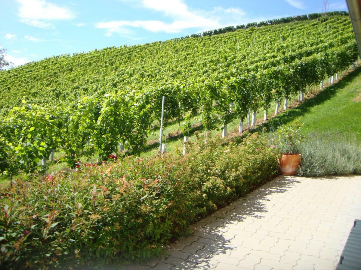 Hébergement de vacances Weingut Bauer