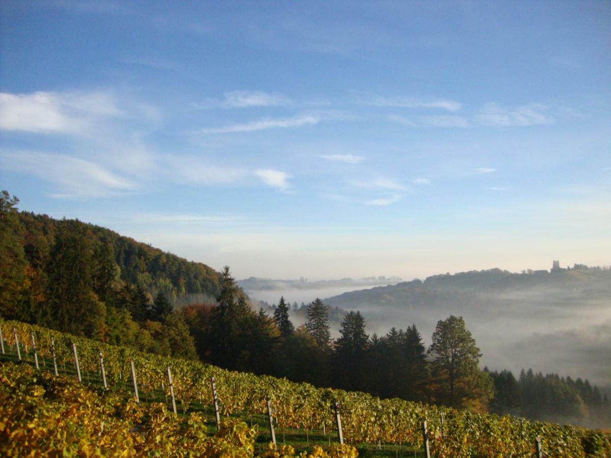 Weingut Bauer Hébergement de vacances *